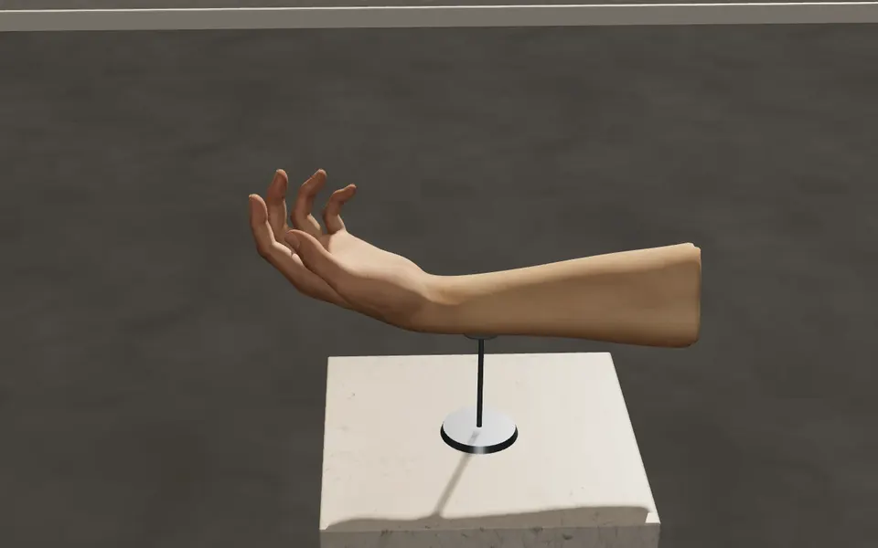 A posed 3D hand on a stand in Hand Reference