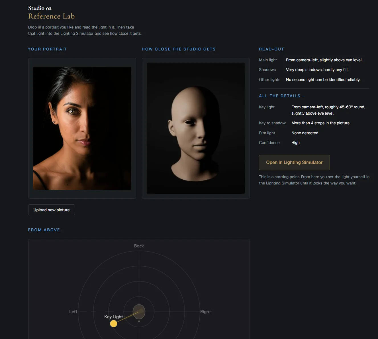 The Reference Lab reads the light in a portrait
